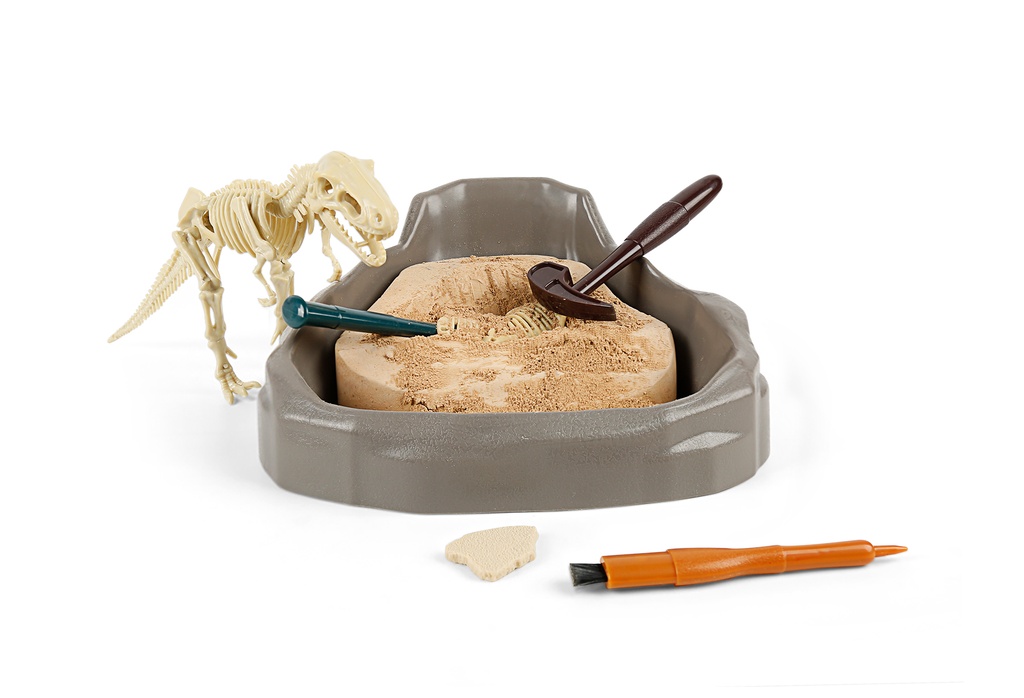 Science Can Tyrannosaurus Rex Dinosaur Fossil Dig kit
