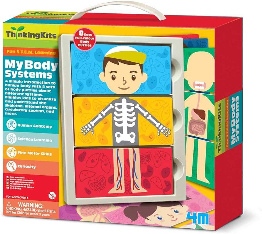 THINKING KITS / MY BODY SYSTEMS