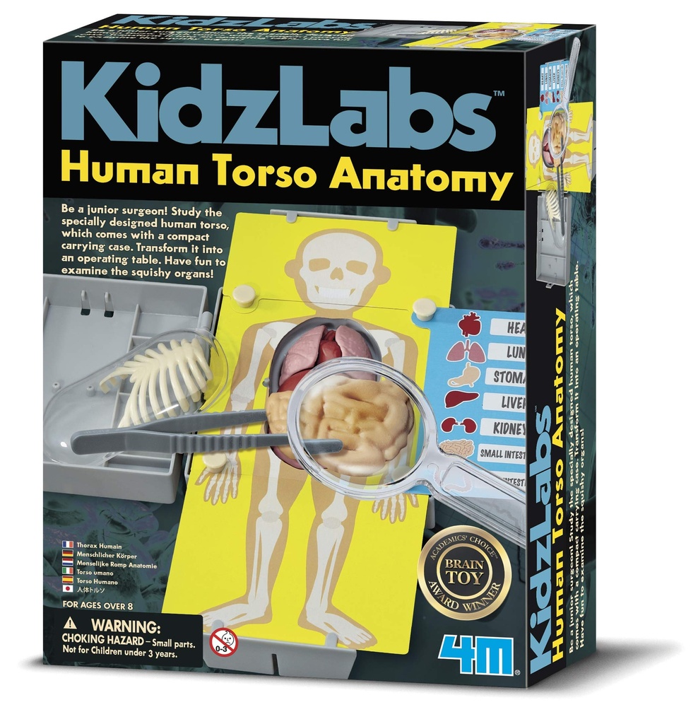 KIDZ LABS / HUMAN TORSO ANATOMY